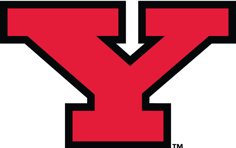 Youngstown State Penguins 1993-Pres Alternate Logo iron on transfers for clothing